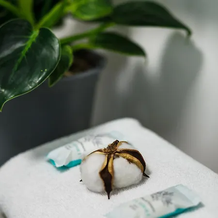 Mlode Doki By Happystay Lejlighed Gdańsk